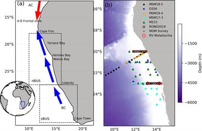 Remote sensing of phytoplankton community composition in the northern Benguela upwelling system